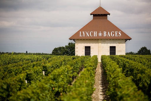 2000 Château Lynch-Bages, Pauillac, Bordeaux - Single Bottle (Bottle 1 x 75cl)